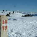 Croix de l'Alpe en Chartreuse