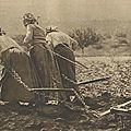 Histoire des femmes et du genre