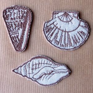 Planche_coquillages