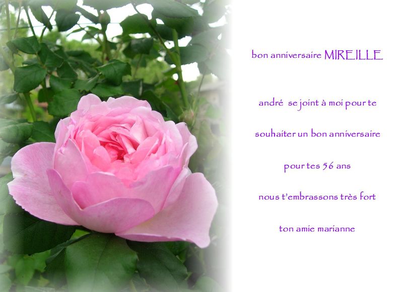 Le 3 Septembre Anniversaire A Mon Amie Mireille Mariandre