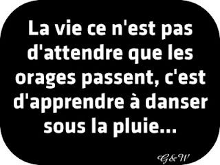Citation Du Jour Bonjour