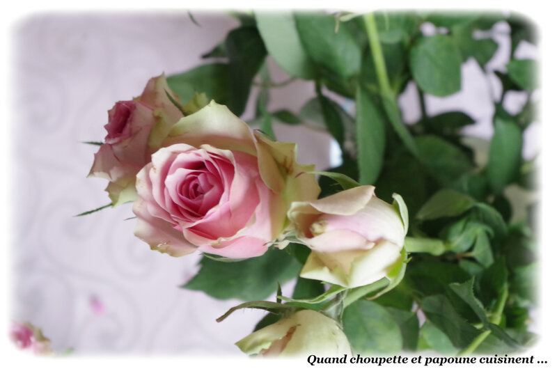 table roses pour la fête des mères 2019-9390
