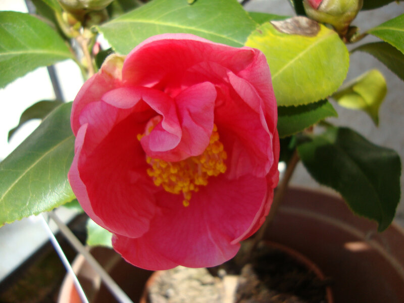 DSC06136