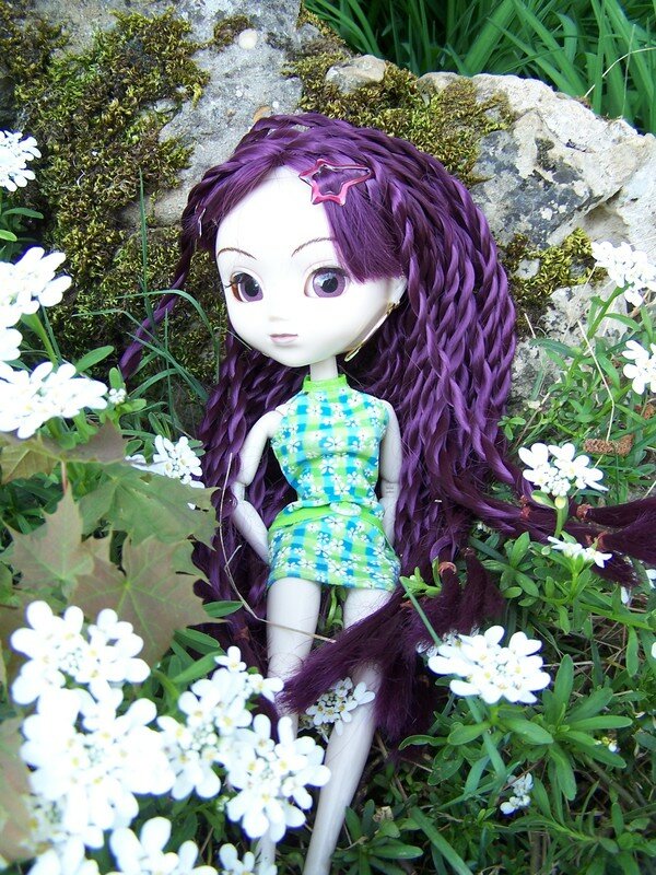 pullip nomado