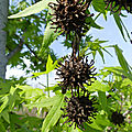 P1000690