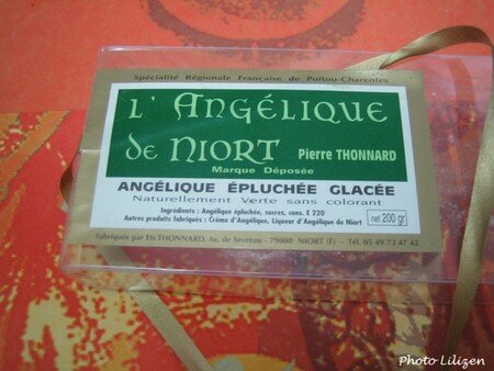 Ang_lique__pluch_e_glac_e_010