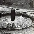Irrigation02