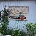 IMG_0373