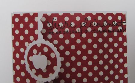carte_proto_celina_003