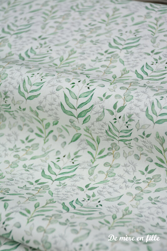 eucalyptus 2