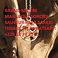 Talisman magique pour attirer la clientèle du grand maitre marabout papa safari tidiane tel/whatsapp: +229-63-39-25-31