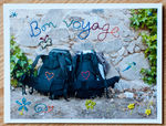 bon_voyage_4