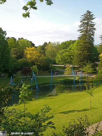 La marche des arbres bleus du parc floral de la Beaujoire