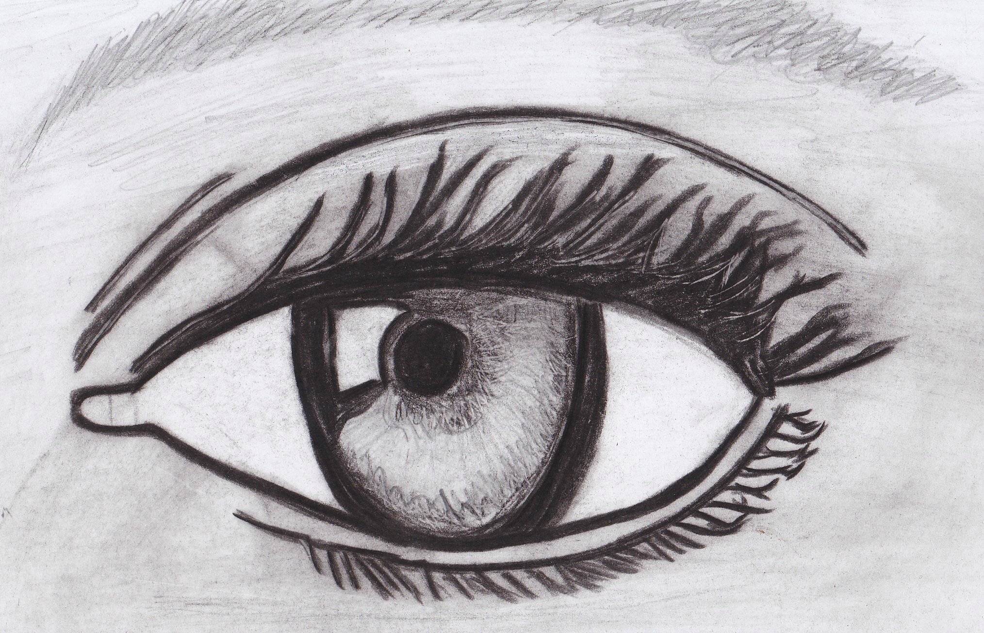 Oeil Réaliste Un Amour De Dessin