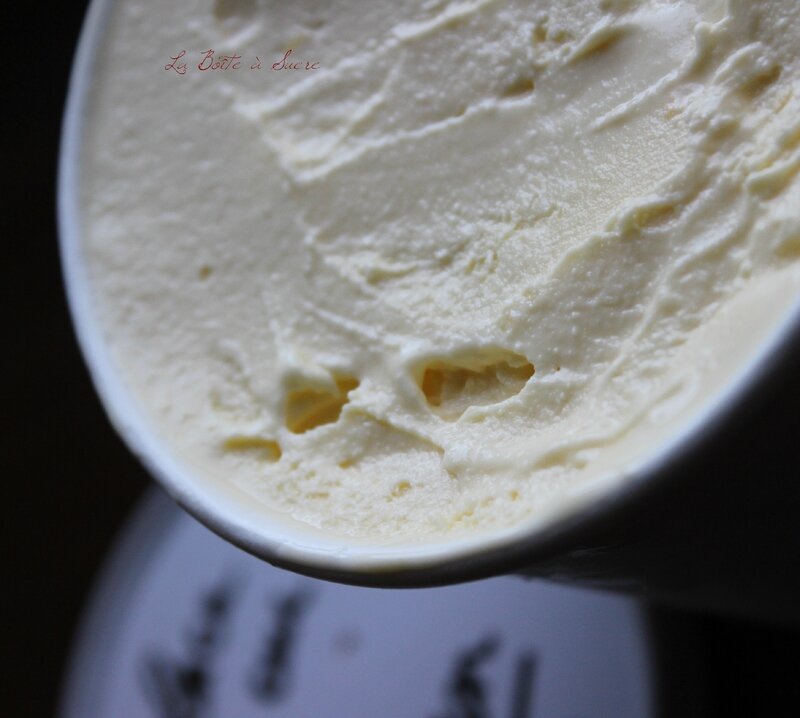 Glace au citron (3)