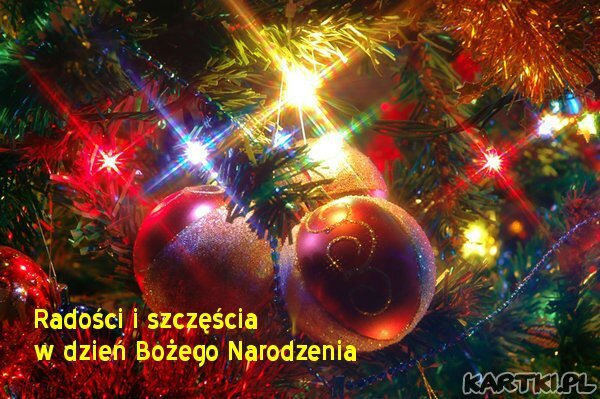 Joyeux Noel Wesolych Swiat Bozego Narodzenia Association Amitie Franco Polonaise Zywa Polska