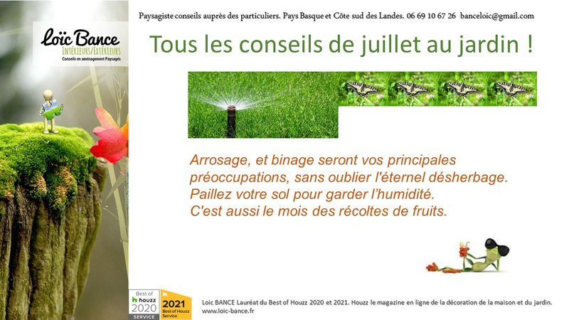 Paysagiste-conseils-aux-particuliers-juillet-au-jardin