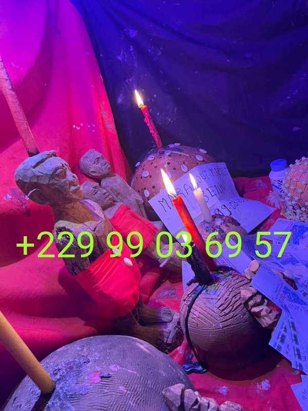 e5311a8b-0312-48c0-9036-8131d9b7ad20