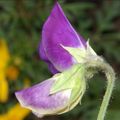 2010-09-01_205641