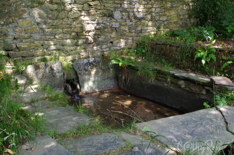 && abbaye Daoulas