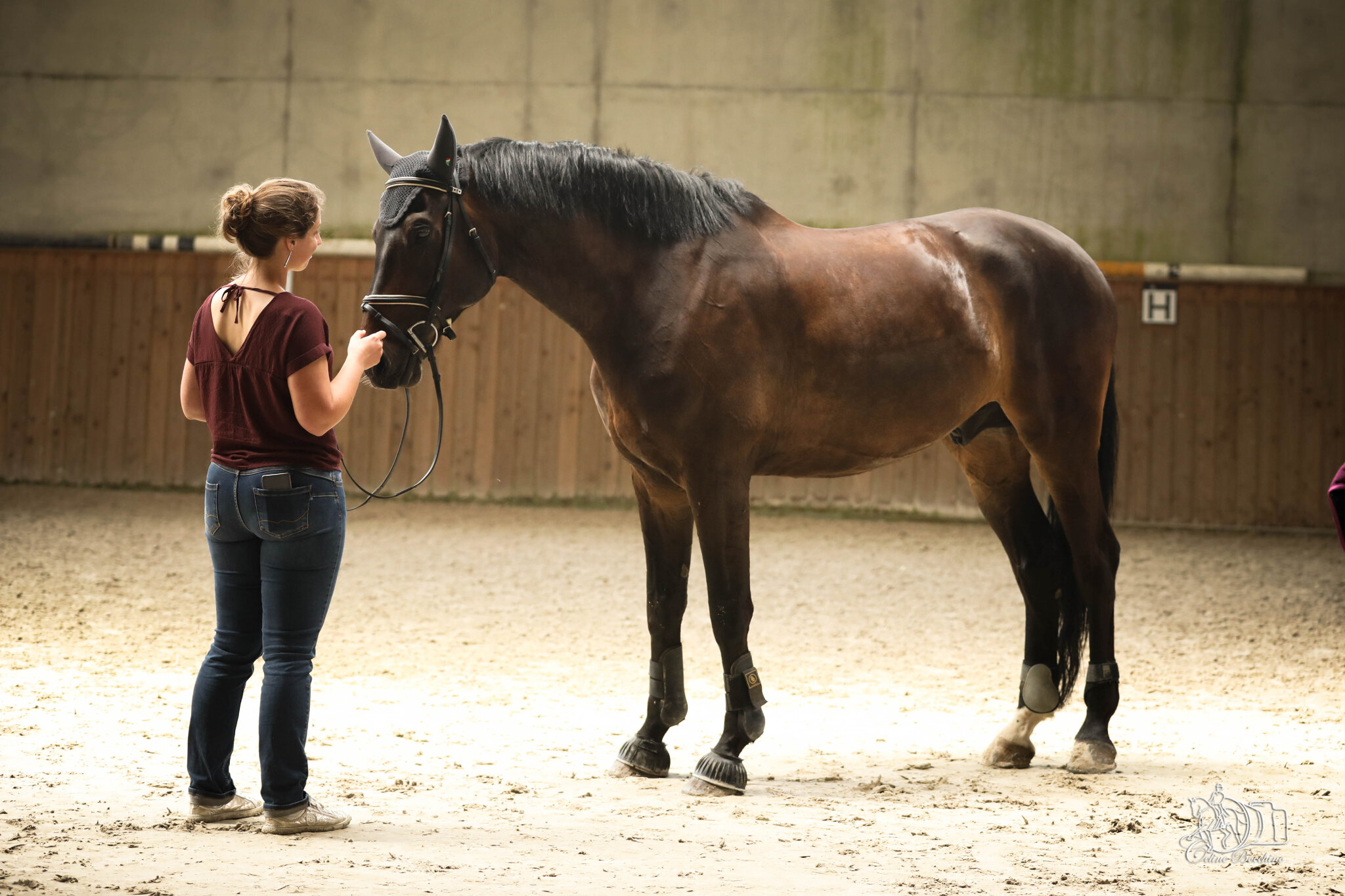 L'importance de la selle pour le bien-être du cheval – Blog