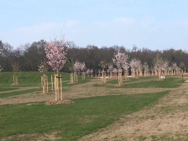 Parc Du Croissant Vert Neuilly Sur Marne Parc du Croissant vert - Patrimoine de Neuilly-sur-Marne
