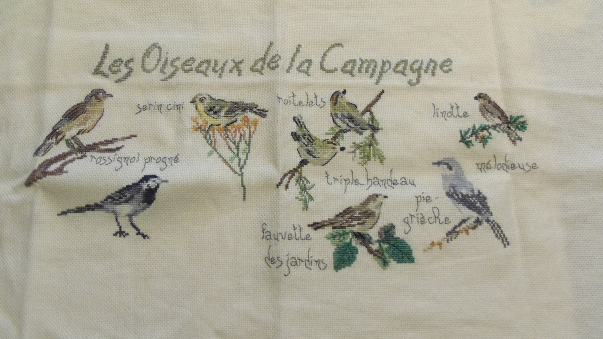 Sal Bernadette Baldelli Les Oiseaux De La Campagne Les