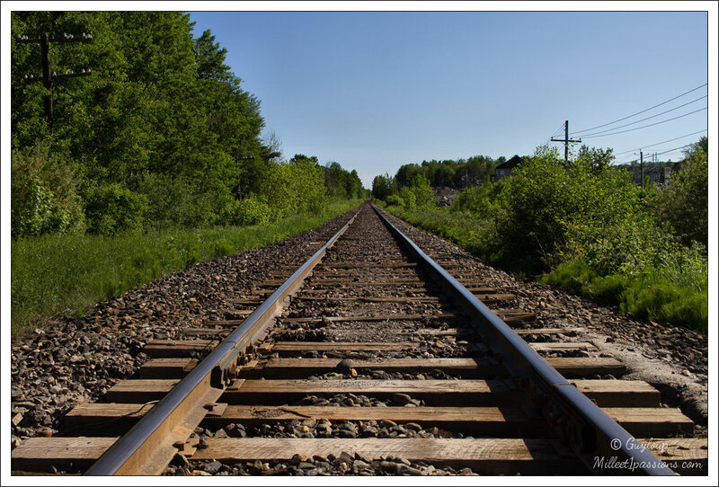 IMG_5205-1-2
