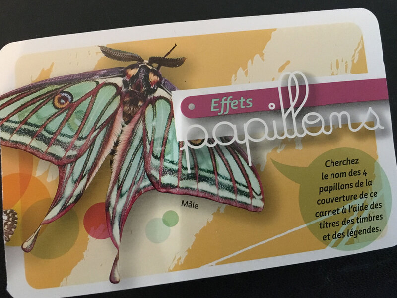 Effet-papillon-1