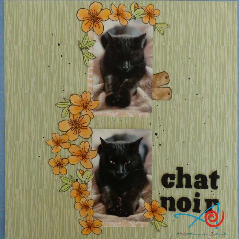 Page chat noir - Black cat page