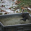 IMG_4335
