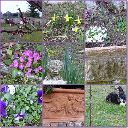 jardin 3 mars 2019