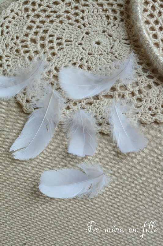 plumes 5
