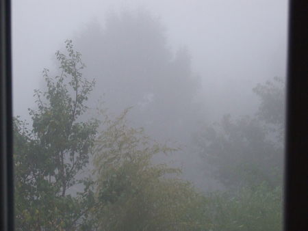 Photo_214