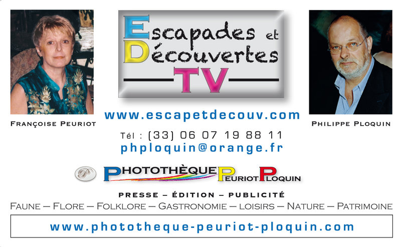 CARTE_de_VISITE_Escapades_et_DecouvertesTV_HD