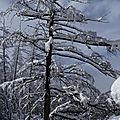 P1080819 - Copie