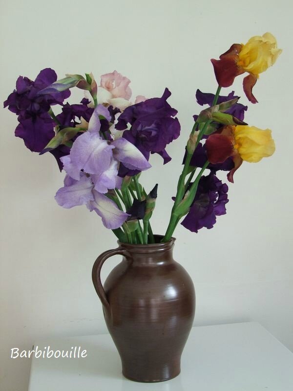 Bouquet 14 mai 2011