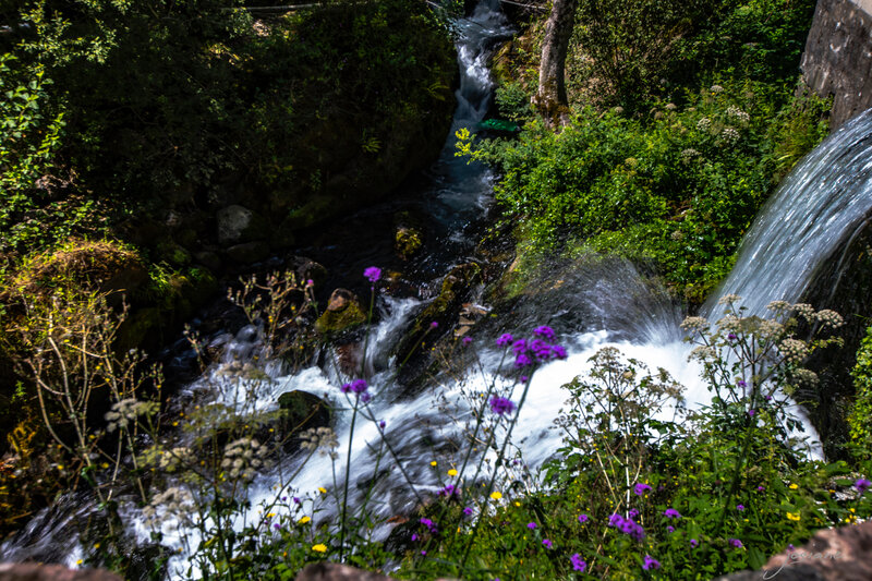 16082019-_MG_5522