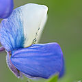 P1250463