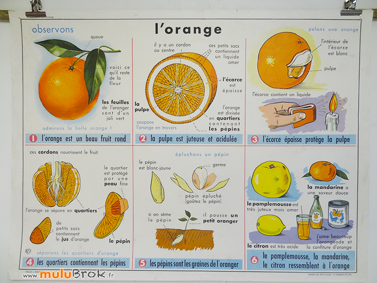 AFFICHE-MDI-ORANGE-1-muluBrok-Vintage