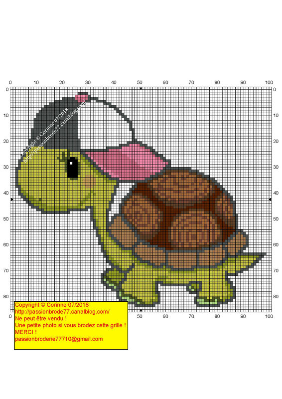 Tortue Casquette_Page_1
