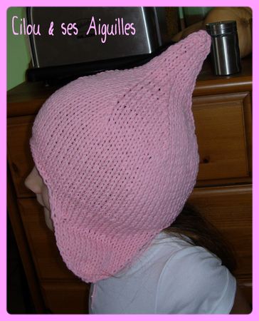 bonnet_p_ruvien_c_t_