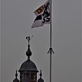 _IGP2540 (2)