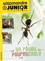 Salamandre fev 18 couv