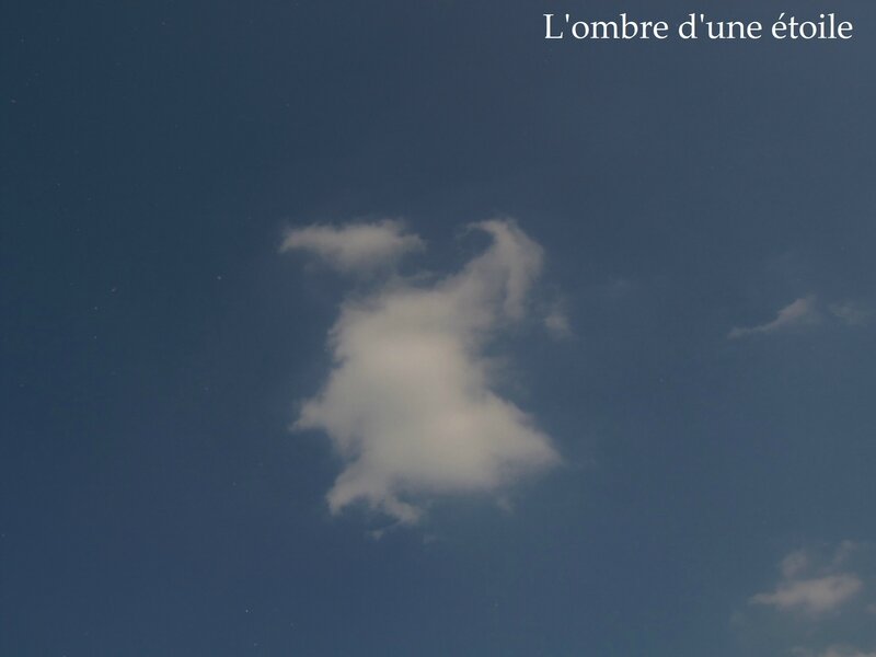 Un lapin, non ?