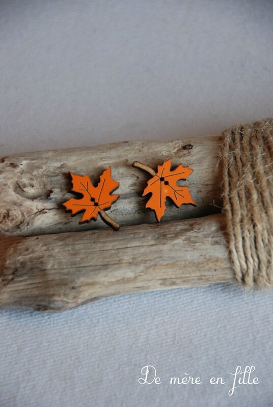 feuille d'érable rouille