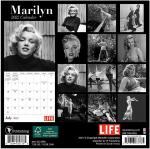 2022-cal-format_carre-LIFE-2b