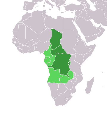 afrique noire