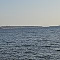 _DSC0089