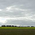 DSC09682